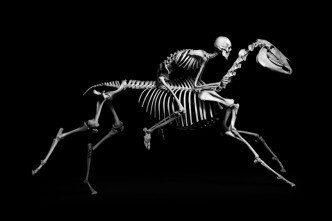 Photo Collect Copenhagen