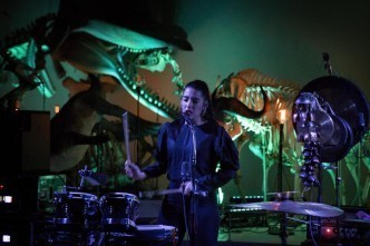 The rythm of Wildbirds, Dinosaurs and Whales