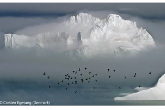 World Wildlife Photographer of the Year